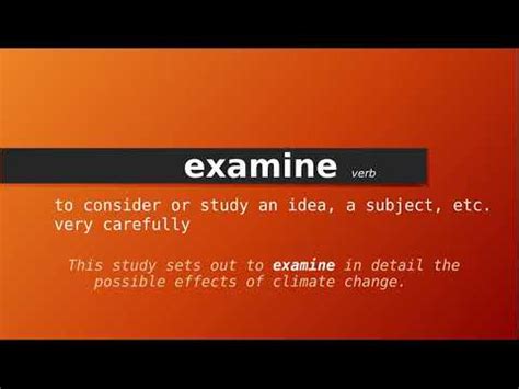 Examinee Definition & Meaning .